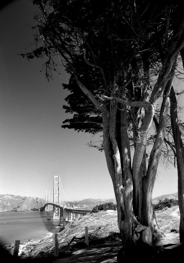 Scan-100411-0024-800.jpg