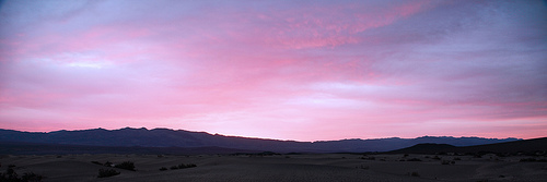4517394175_ee1ab46444.jpg