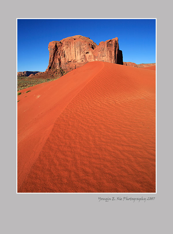 SandSpring_0196-Framed.jpg