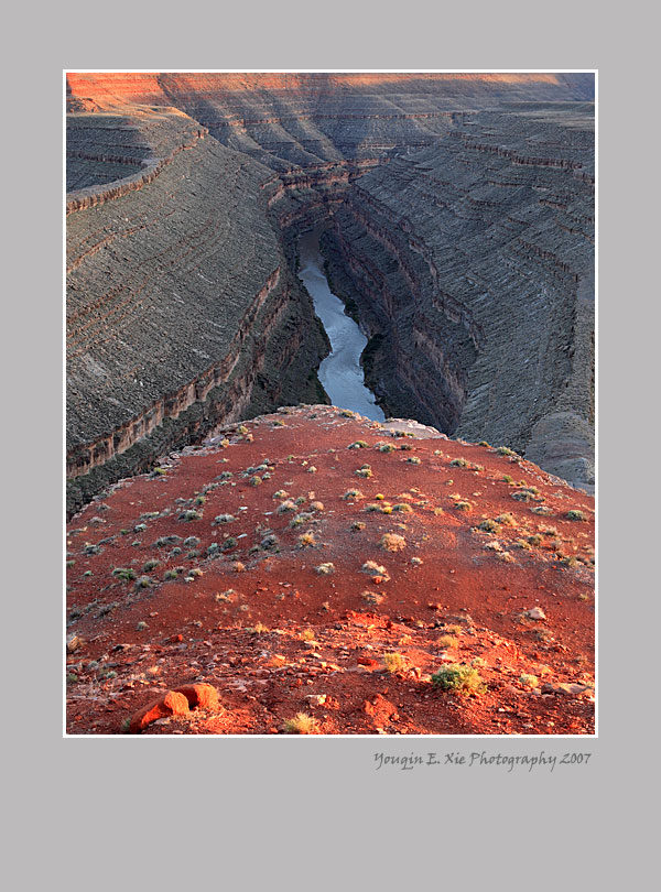 Gooseneck_0085-Framed.jpg