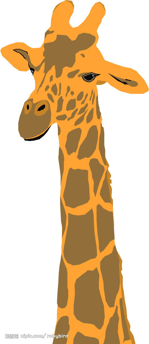 2493573_125009064_2.jpg