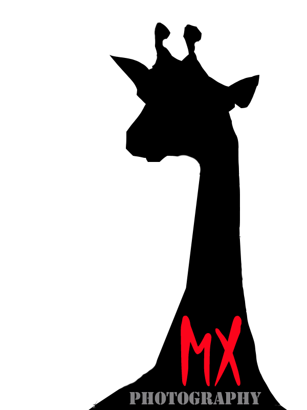 MX Logo png.png