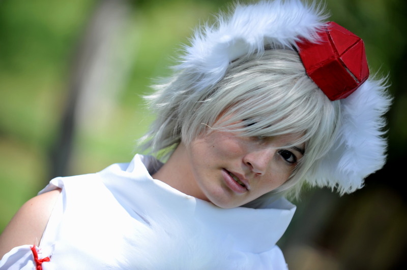 DSC_8705c.jpg
