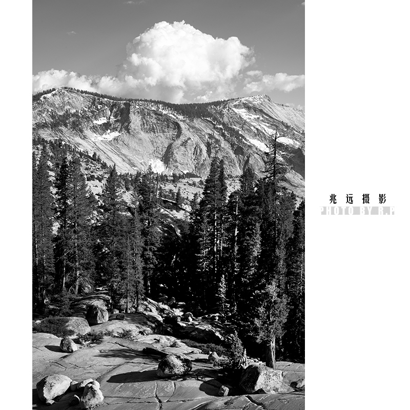 RXZ_0002-small-bw.jpg