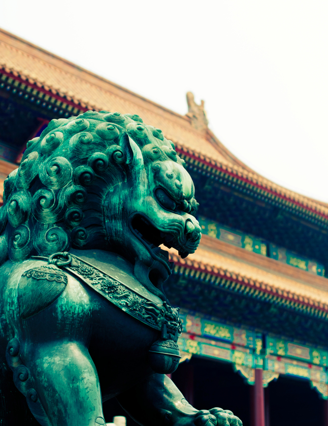 Lion.jpg