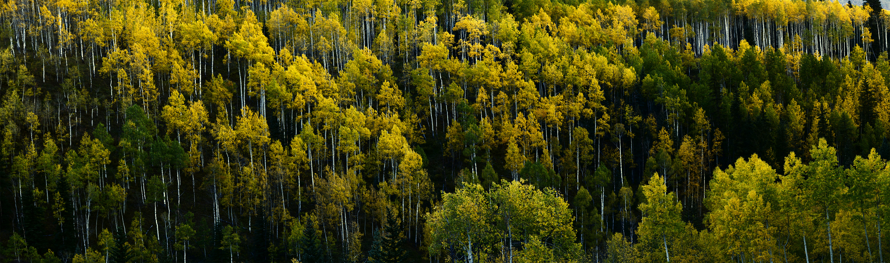 Untitled_Panorama1.jpg