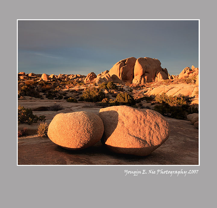JTNP_MG_9274-Framed.jpg