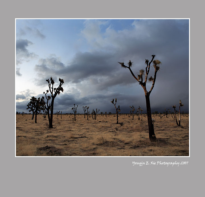 JTNP_MG_9370-Framed-2.jpg