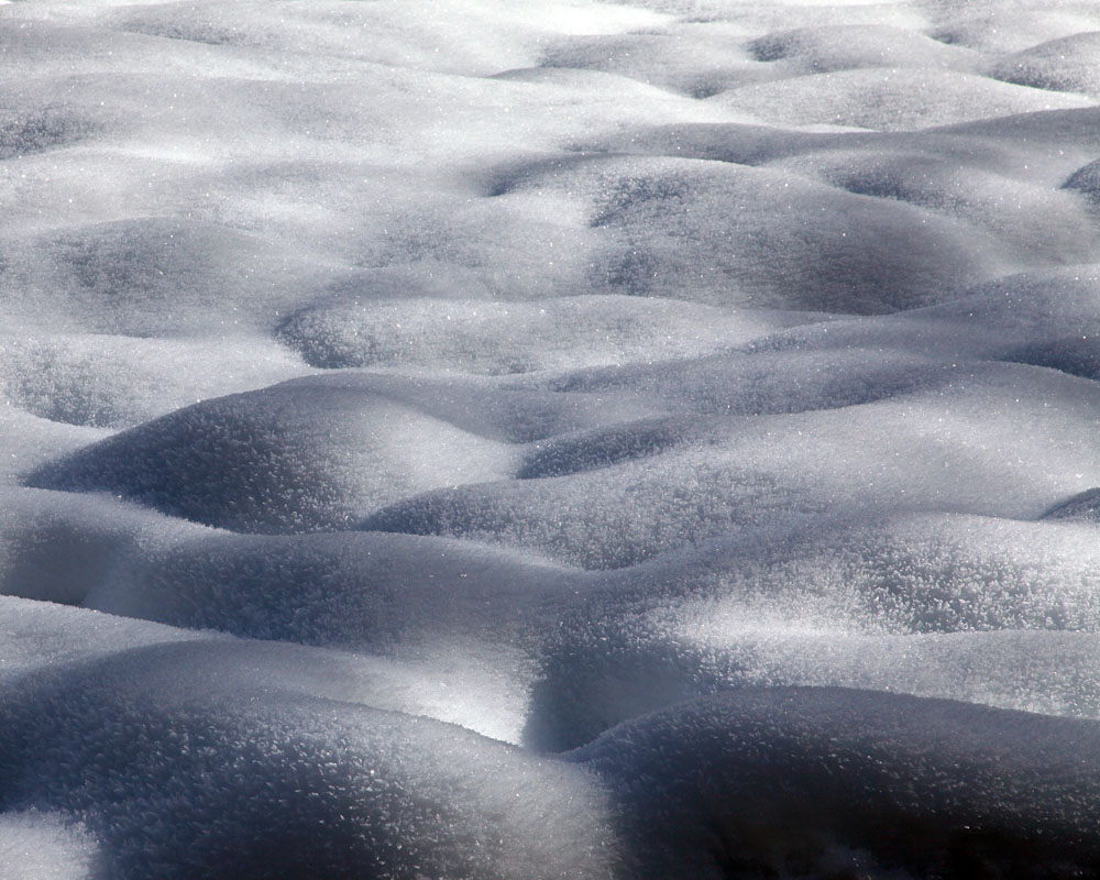 2011-01-09d-Meadows-017s.jpg