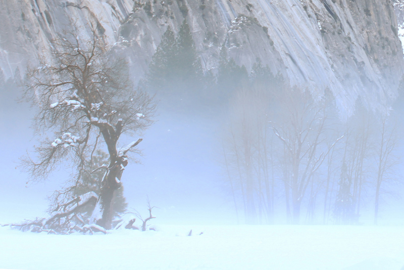 Yosemite 1.jpg