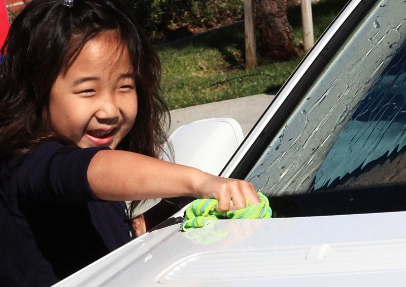 IMG_8131_(800x567).jpg