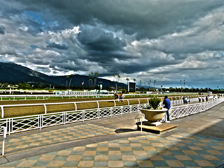 P1020209-WIP.jpg