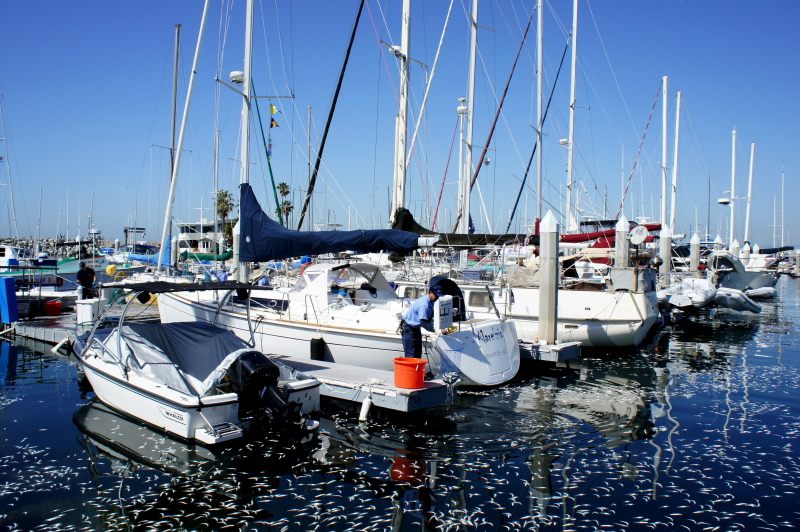 DSC01433c.jpg