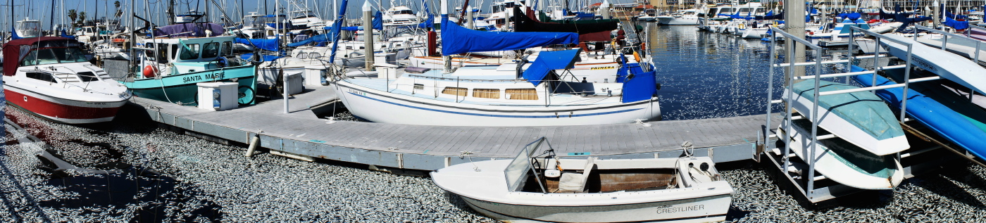 DSC01469d.jpg