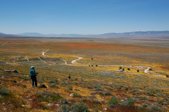_MG_5486.jpg