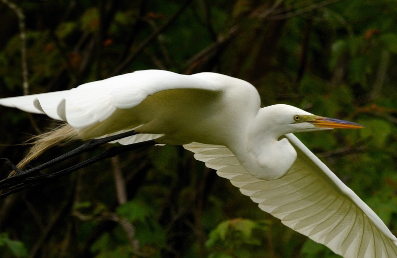 DSC_1737.jpg