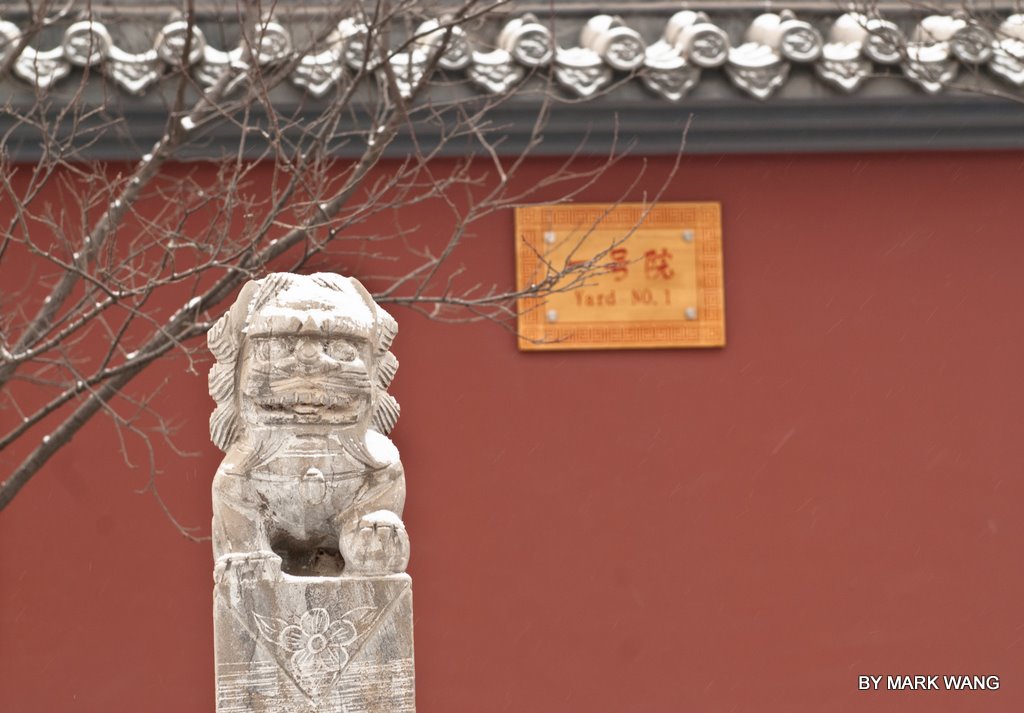 20110116WWJ_6612.jpg