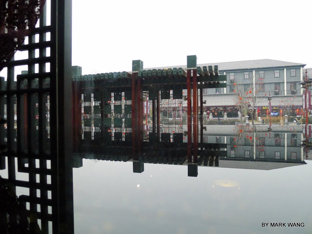 20110126P1010920.jpg