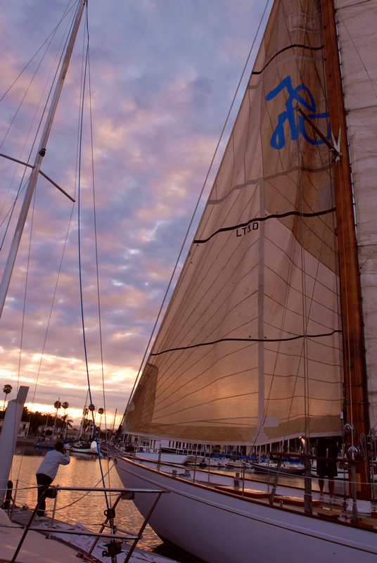 DSC_0282.jpg