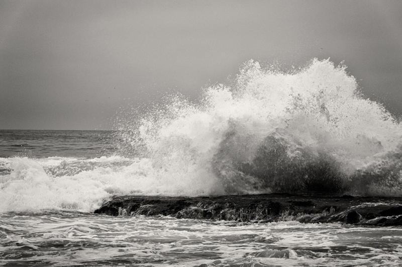 _DSC3770BW.jpg