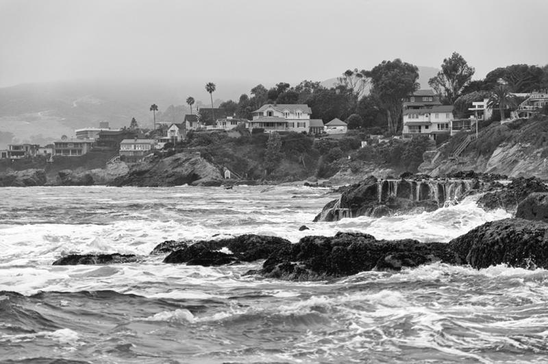 _DSC3864BW.jpg