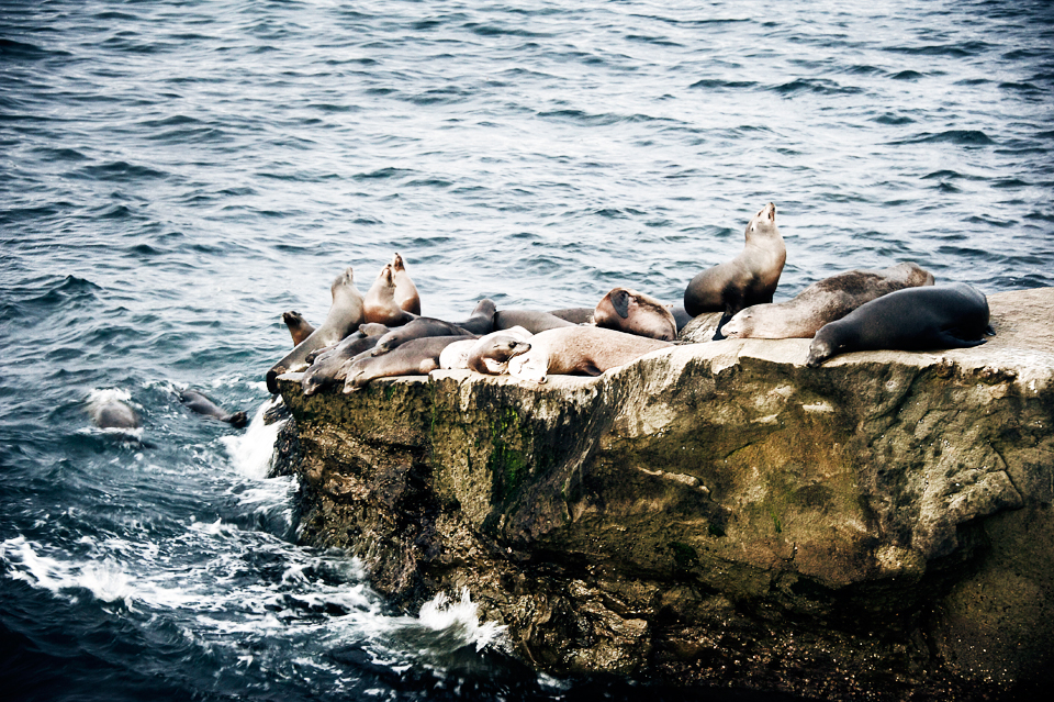 海边0716_seal2.jpg