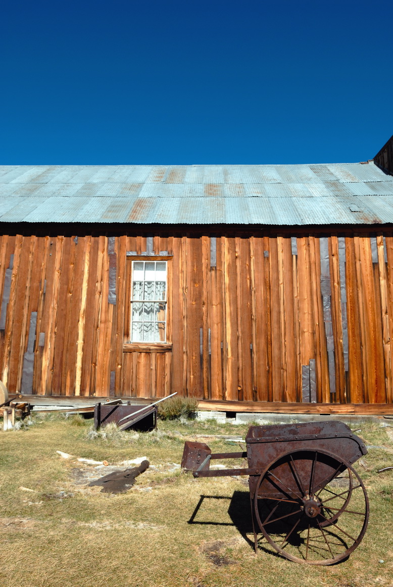 DSC_0654-1.jpg