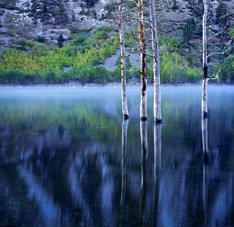 Scan-111017-0005.jpg