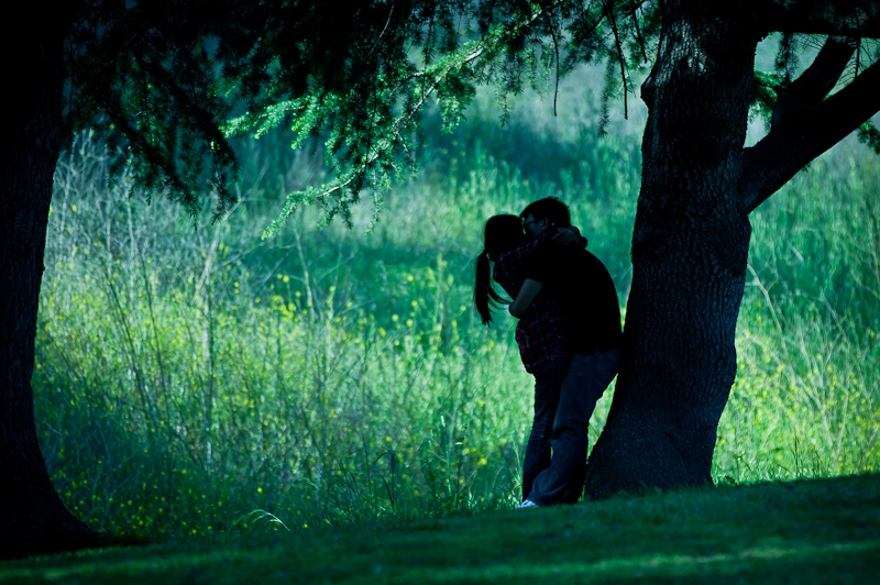 park12-1.jpg