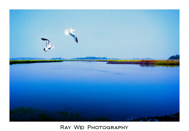 _WEI0813-1Bweb.jpg