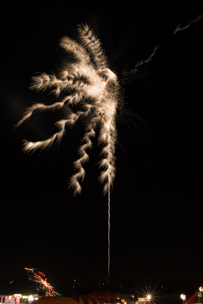 DSC_0504.jpg