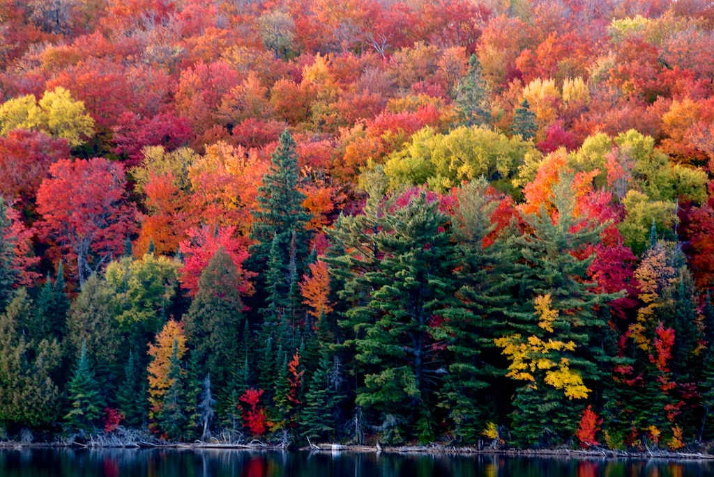 ZLI_2012-10-01_13-47-05.jpg