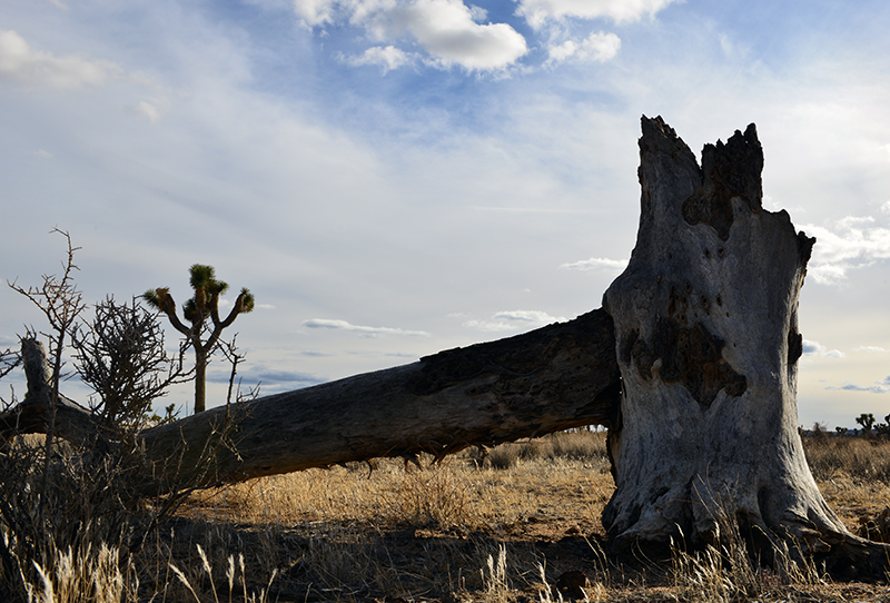 D8E_2280.jpg