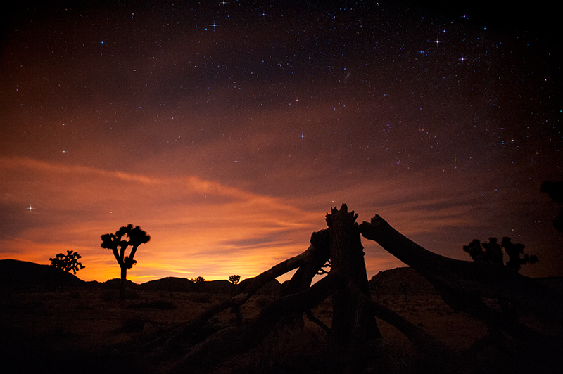 _D3H3216-star-v1.jpg