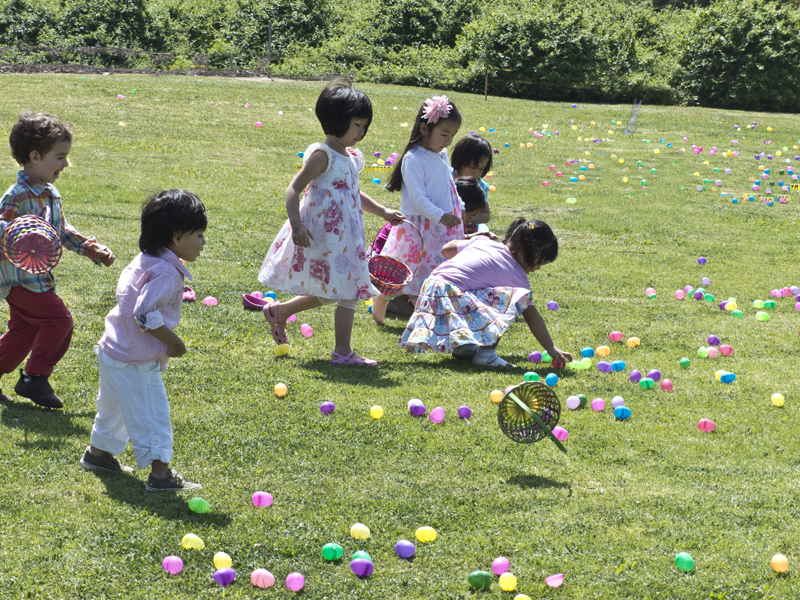 P1030832A.jpg