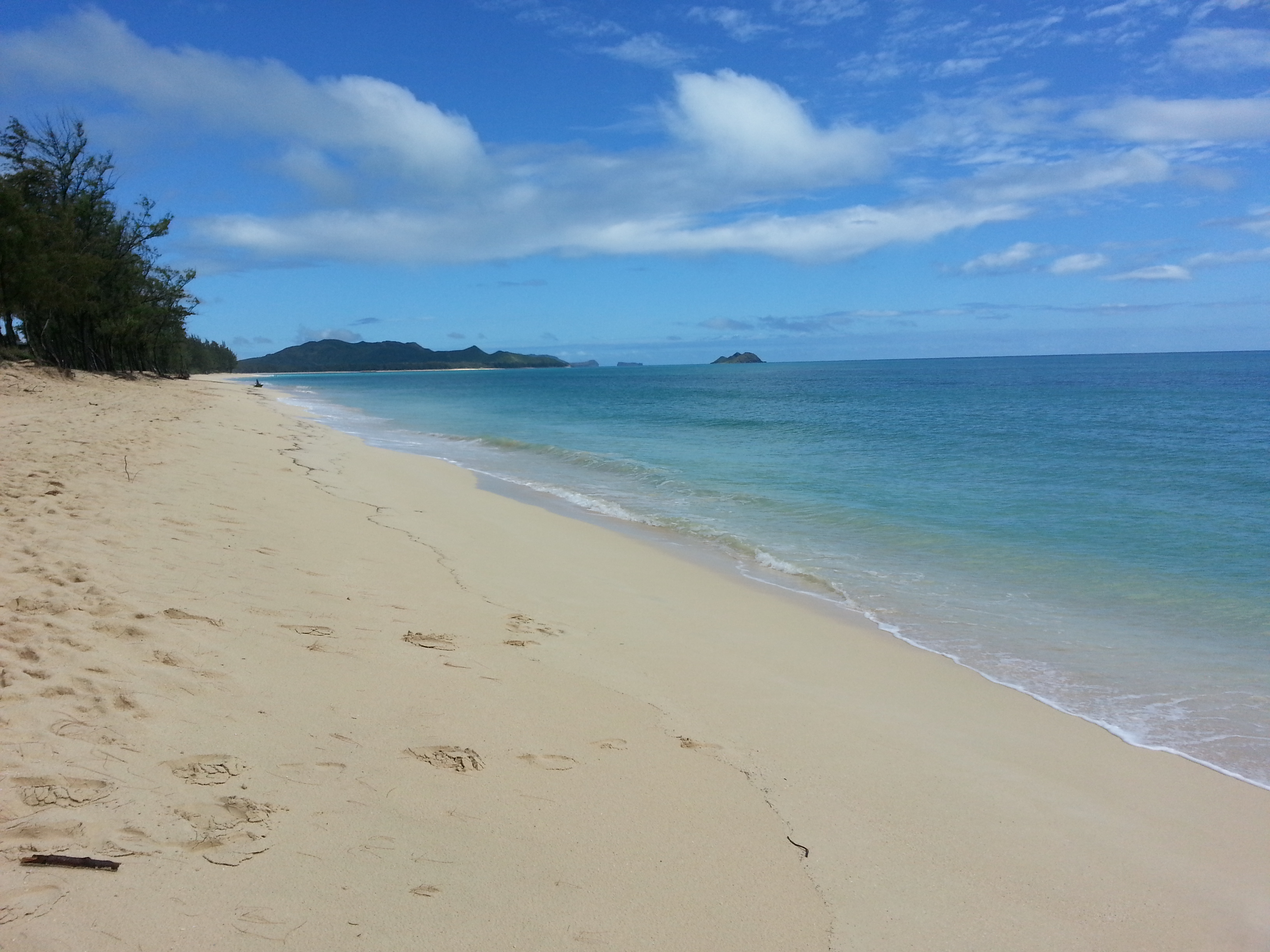 20130424_100817.jpg