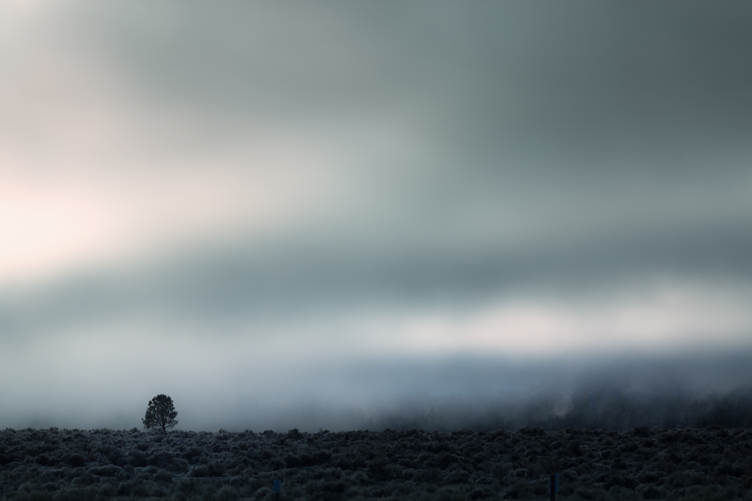 SR1A0385-Edit-Edit.jpg