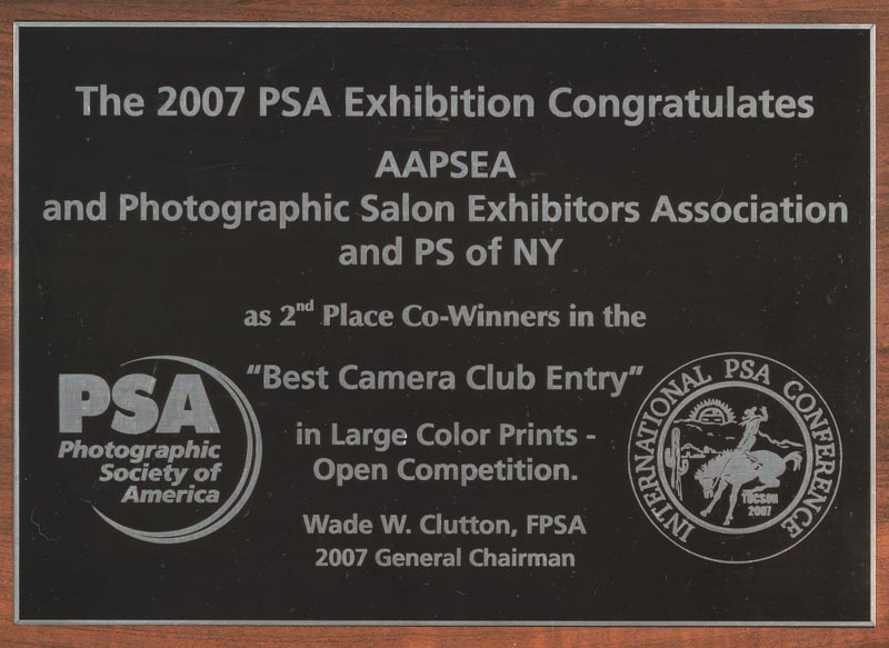 psa 1.jpg