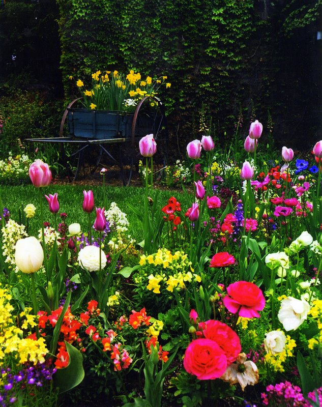 Scan062.JPG