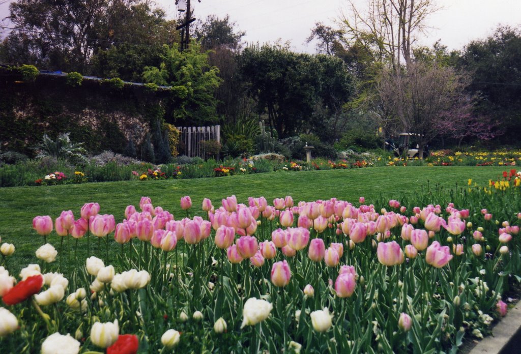 Scan046.JPG