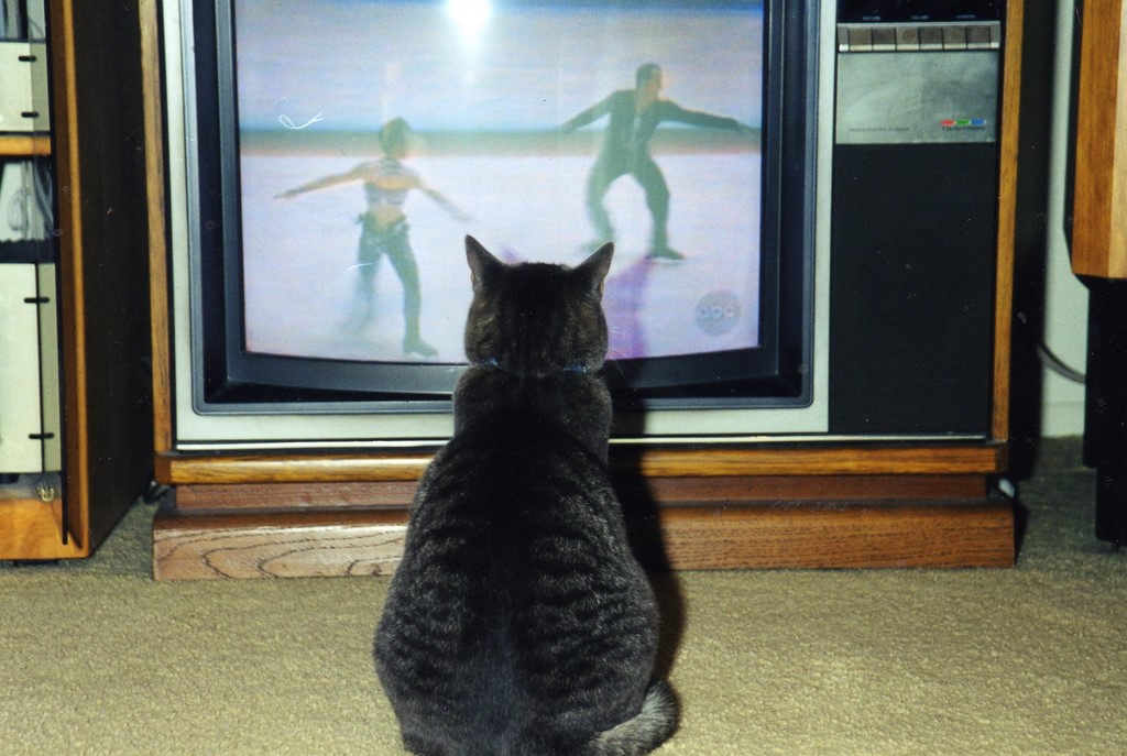 Cat2021.jpg