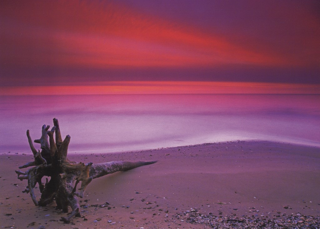 Nikon001.jpg