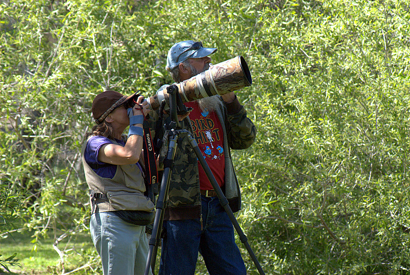 2Hummingbird_0417.jpg
