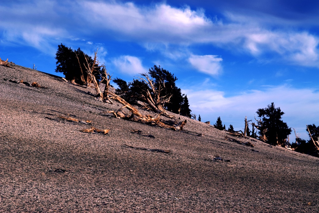 2008HW395_0231p.jpg