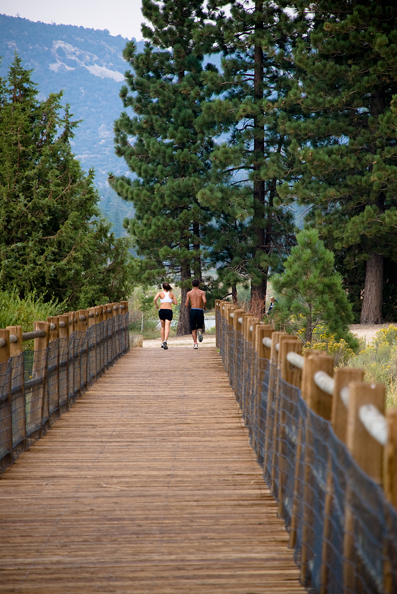bigbear-5529-small.jpg